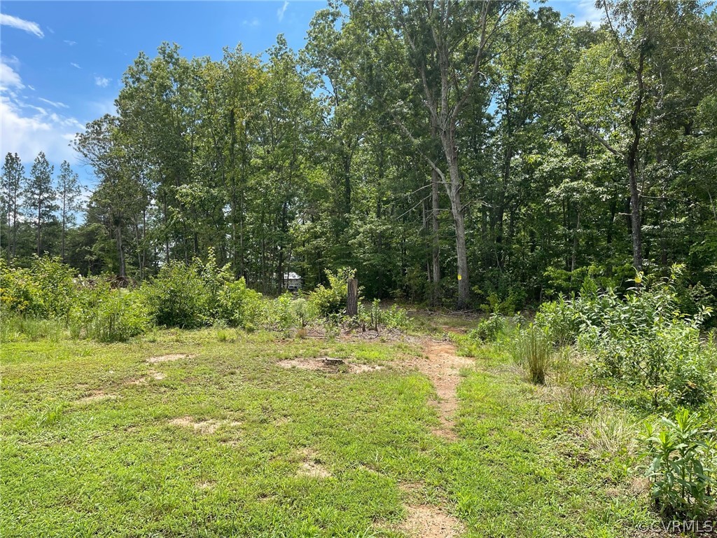 498 Coleman Road Dillwyn, VA 23936 - Photo 33 of 38 Gallery Image 33
