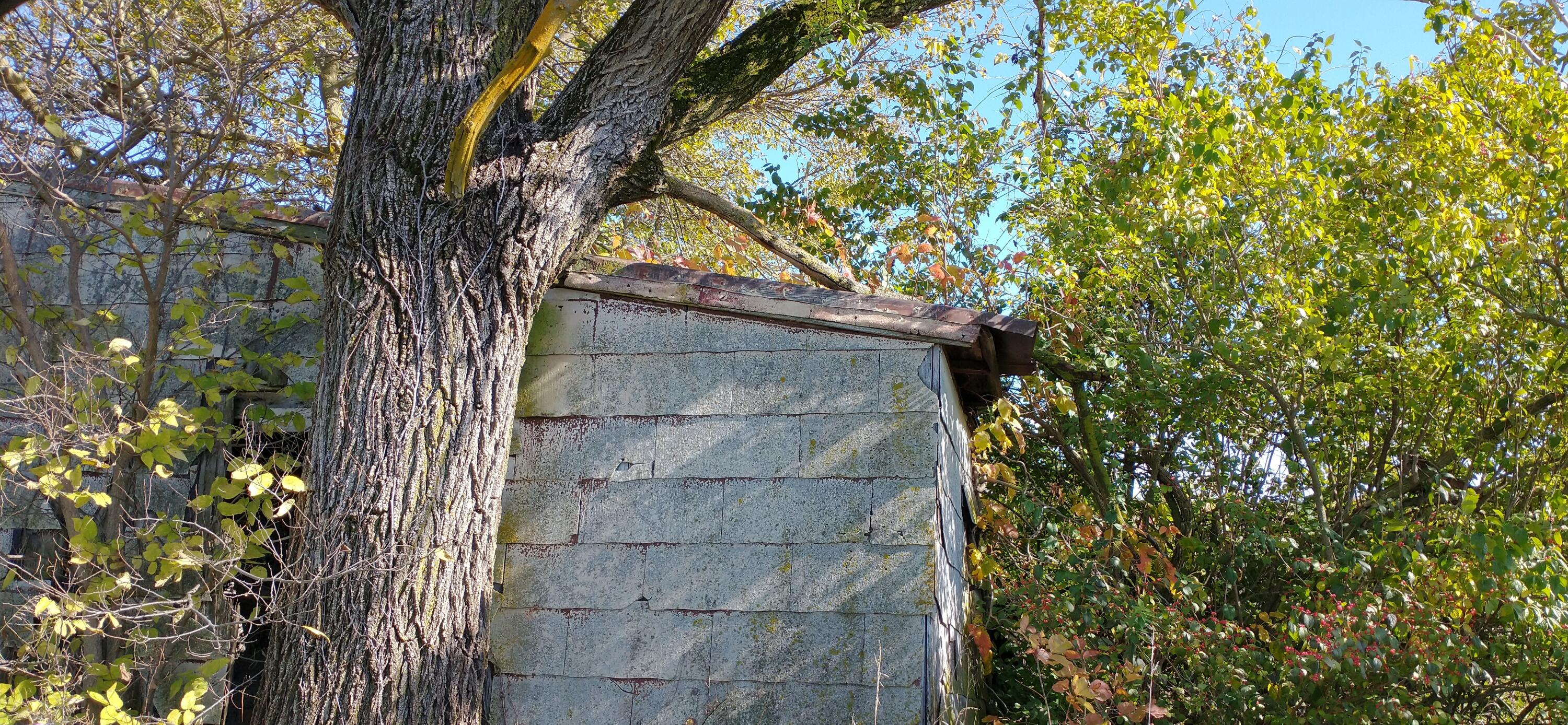 785 East Mason Road Sidney, OH 45365 - Photo 8 of 14