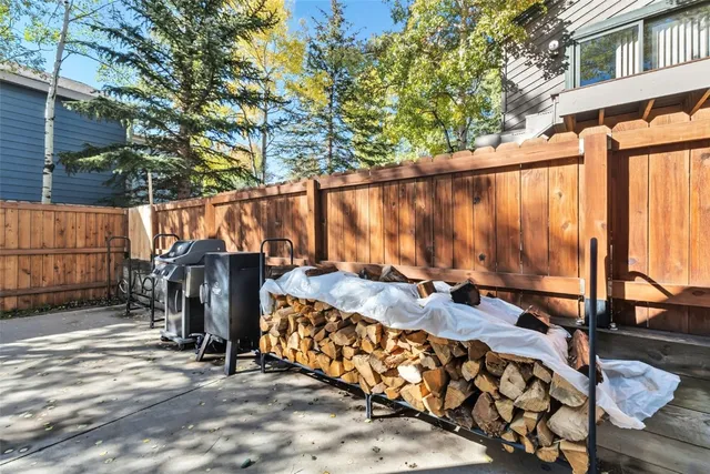 $899,000 | 113 Badger Court, Silverthorne, CO 80498