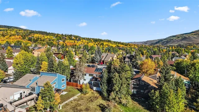 $899,000 | 113 Badger Court, Silverthorne, CO 80498