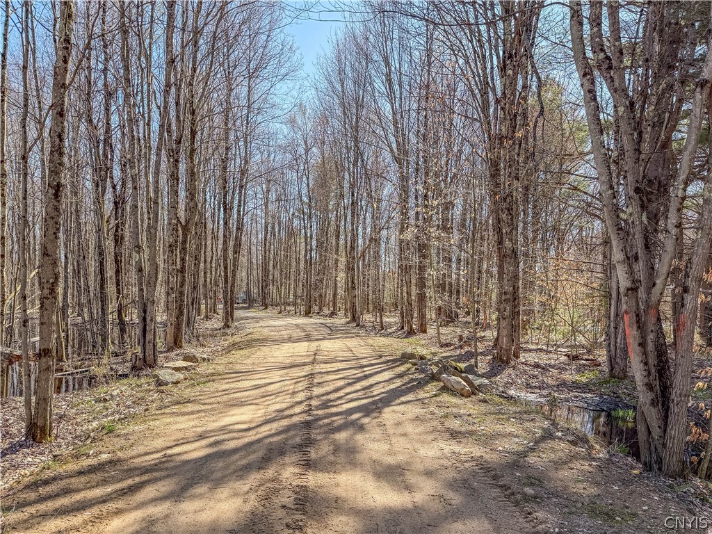 3976 Factory Road Diana, NY 13665 - Photo 46 of 46