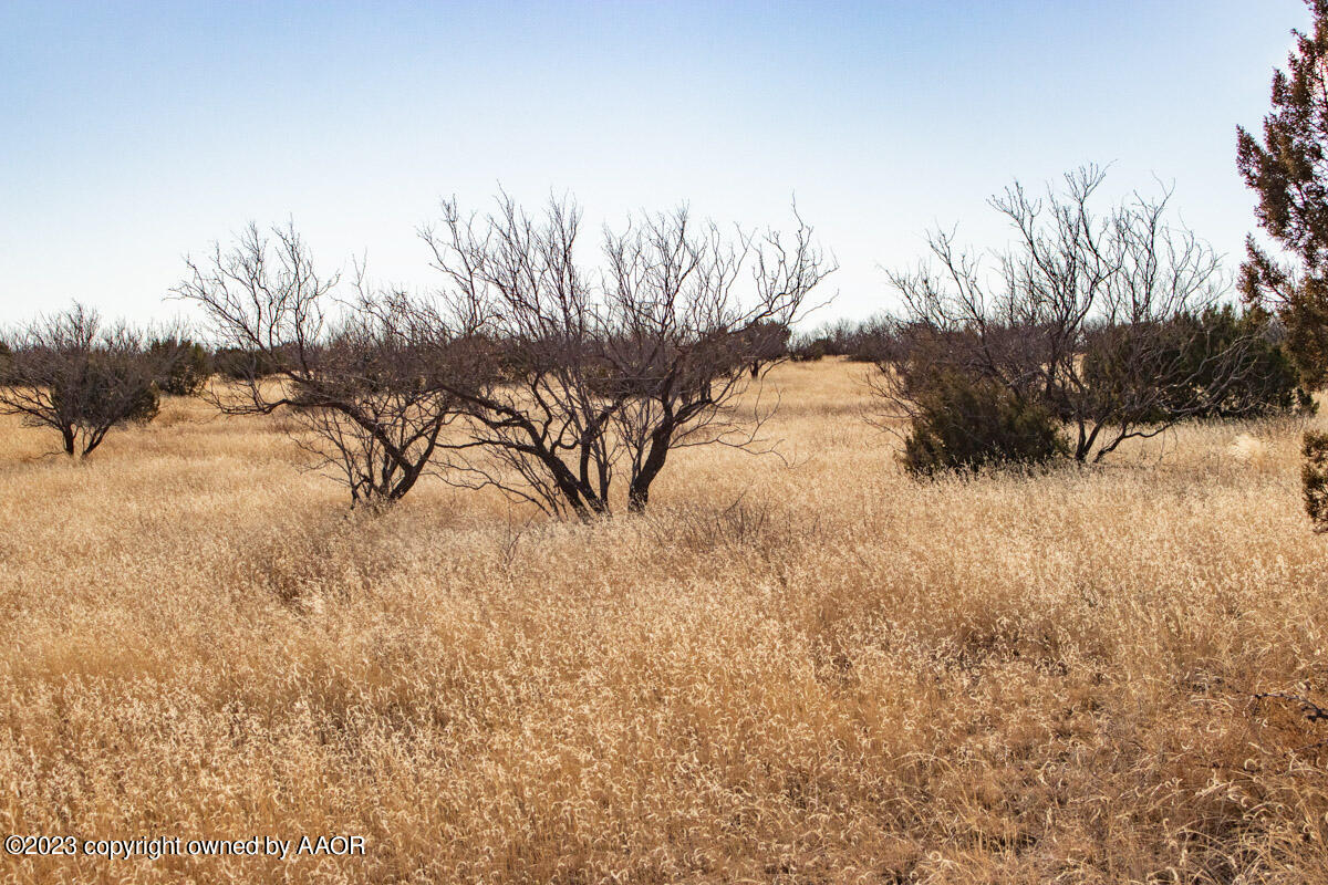 108 Acres Canyon Canyon, TX 79015 - Photo 16 of 34 Historic_Marshall_Ranch-18
