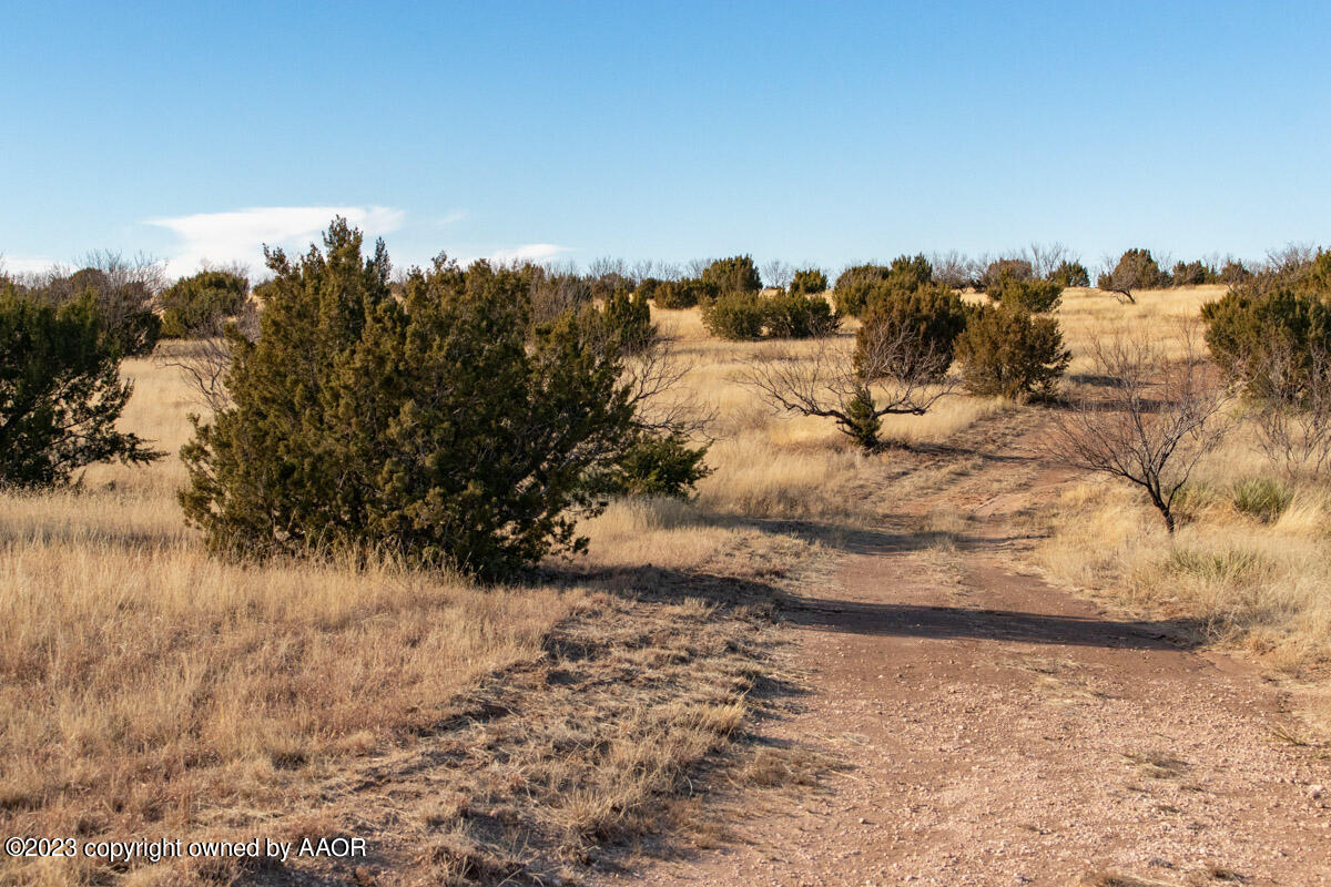 108 Acres Canyon Canyon, TX 79015 - Photo 21 of 34 Historic_Marshall_Ranch-027