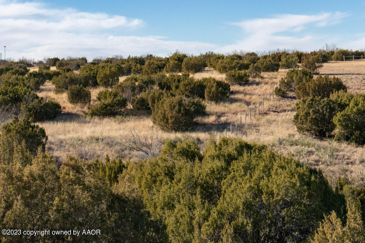 108 Acres Canyon Canyon, TX 79015 - Photo 24 of 34 Historic_Marshall_Ranch-031