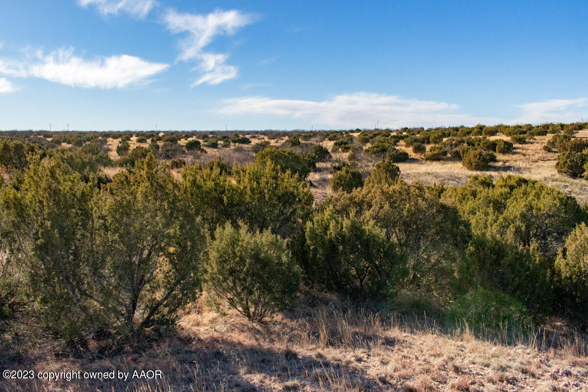 108 Acres Canyon Canyon, TX 79015 - Photo 25 of 34 Historic_Marshall_Ranch-032