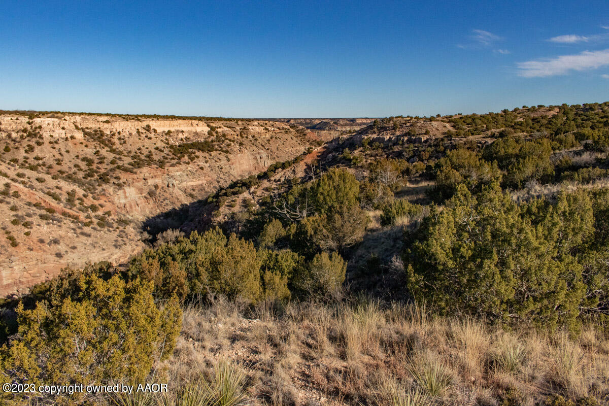 108 Acres Canyon Canyon, TX 79015 - Photo 28 of 34 Historic_Marshall_Ranch-041