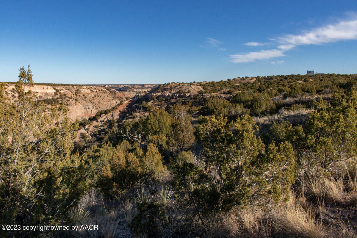 108 Acres Canyon Canyon, TX 79015 - Photo 30 of 34 Historic_Marshall_Ranch-043
