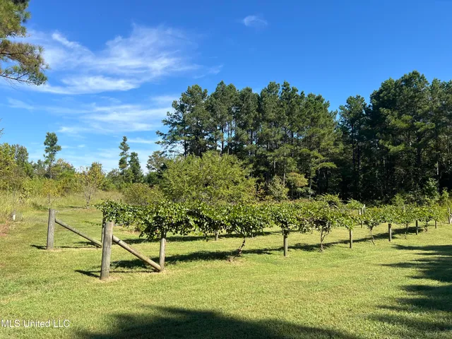 $599,000 | 3007 Wilkins Chapel Road, Holly Springs, MS 38635