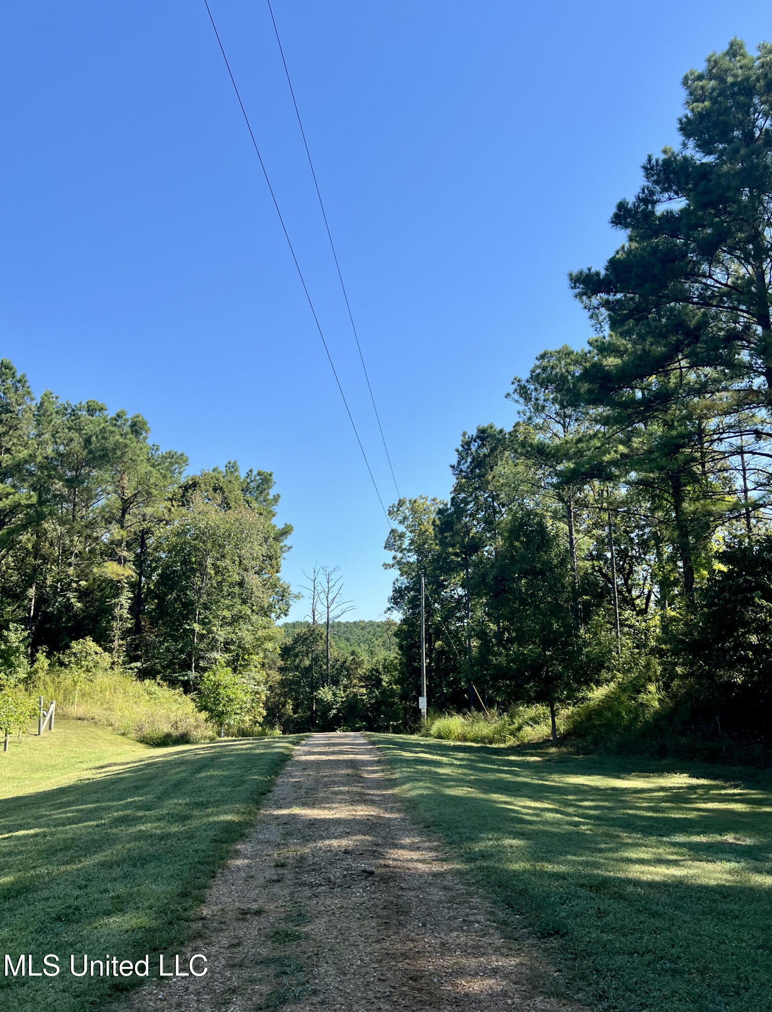 3007 Wilkins Chapel Road Holly Springs, MS 38635 - Photo 2 of 38 unnamed (2)