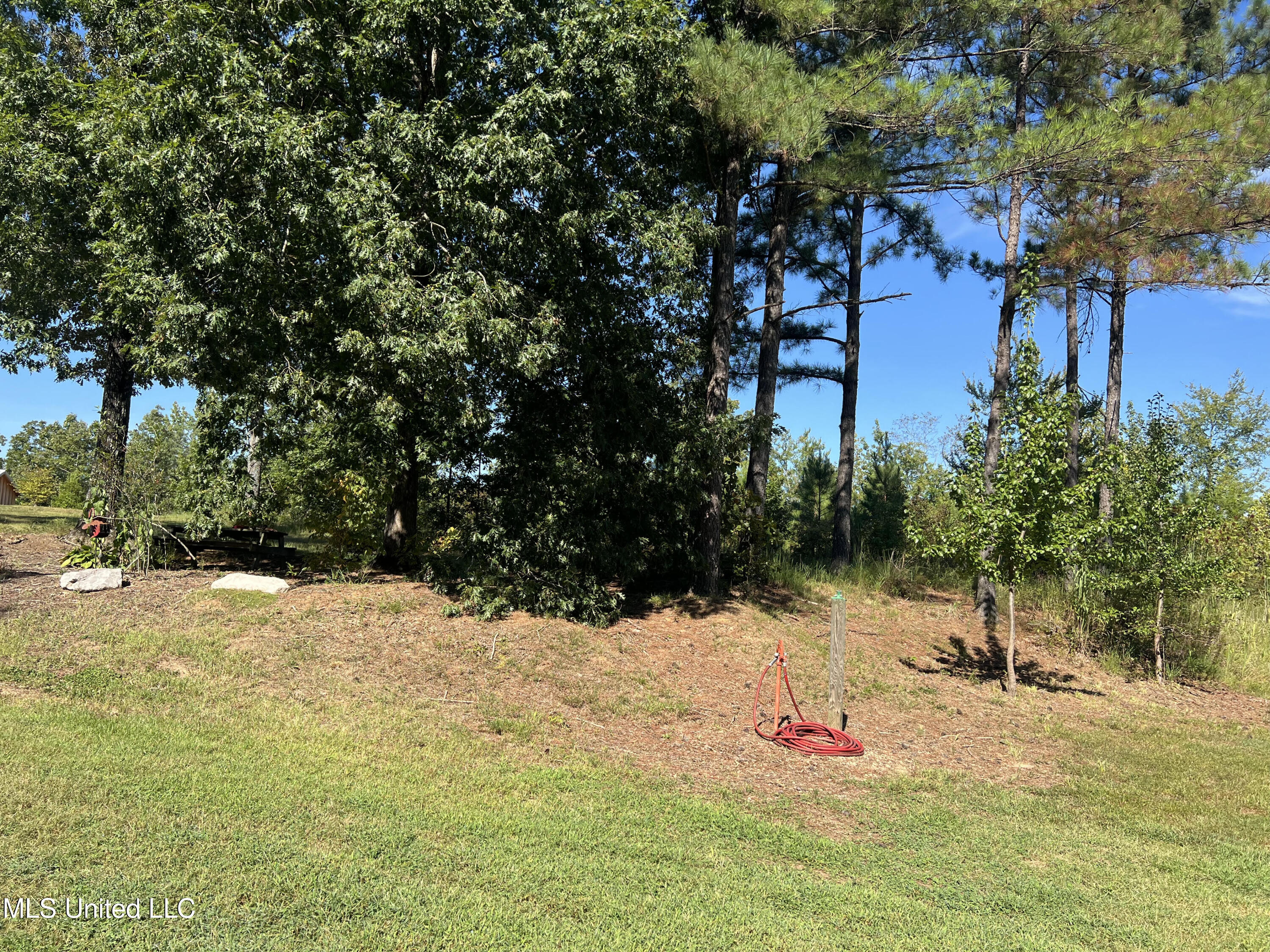 3007 Wilkins Chapel Road Holly Springs, MS 38635 - Photo 23 of 38 unnamed (1)