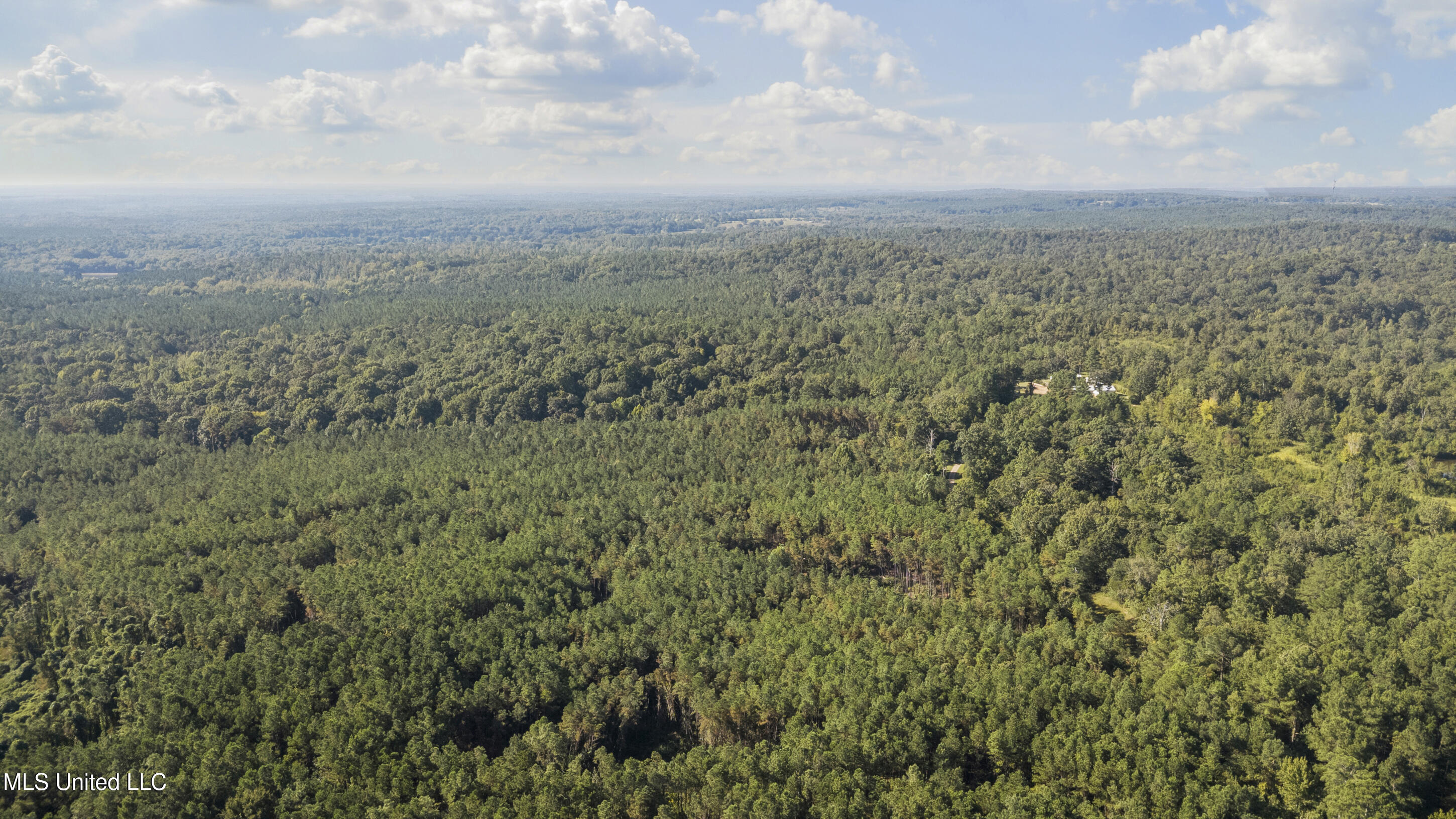3007 Wilkins Chapel Road Holly Springs, MS 38635 - Photo 23 of 38 dji_0007 - Copy