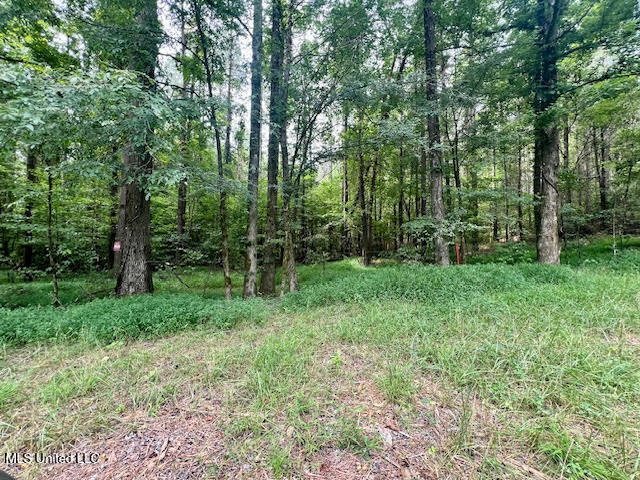 3007 Wilkins Chapel Road Holly Springs, MS 38635 - Photo 28 of 38 unnamed (5)