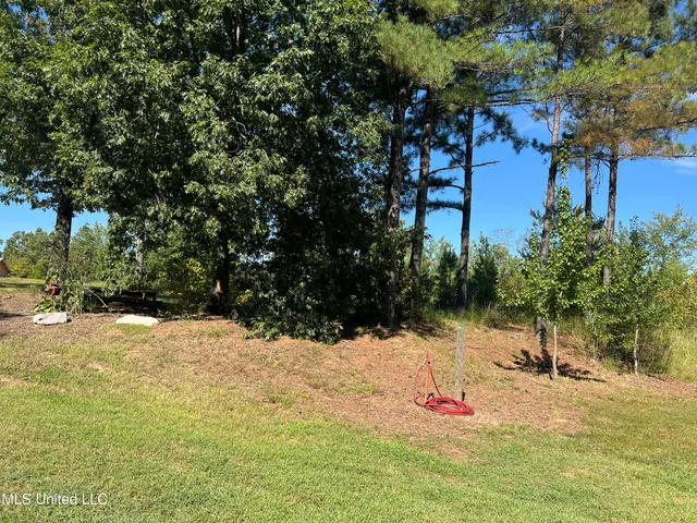 $599,000 | 3007 Wilkins Chapel Road, Holly Springs, MS 38635