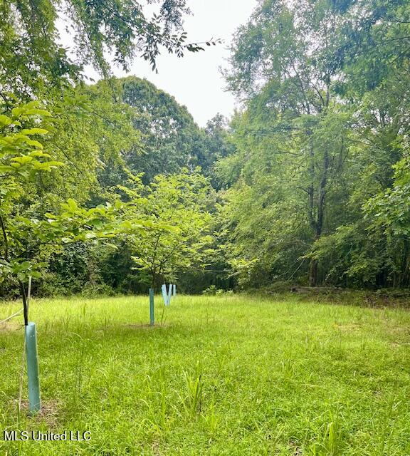 3007 Wilkins Chapel Road Holly Springs, MS 38635 - Photo 32 of 38 IMG_4661