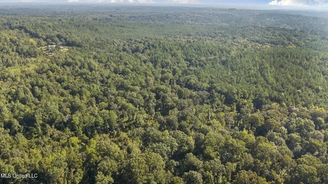 $599,000 | 3007 Wilkins Chapel Road, Holly Springs, MS 38635