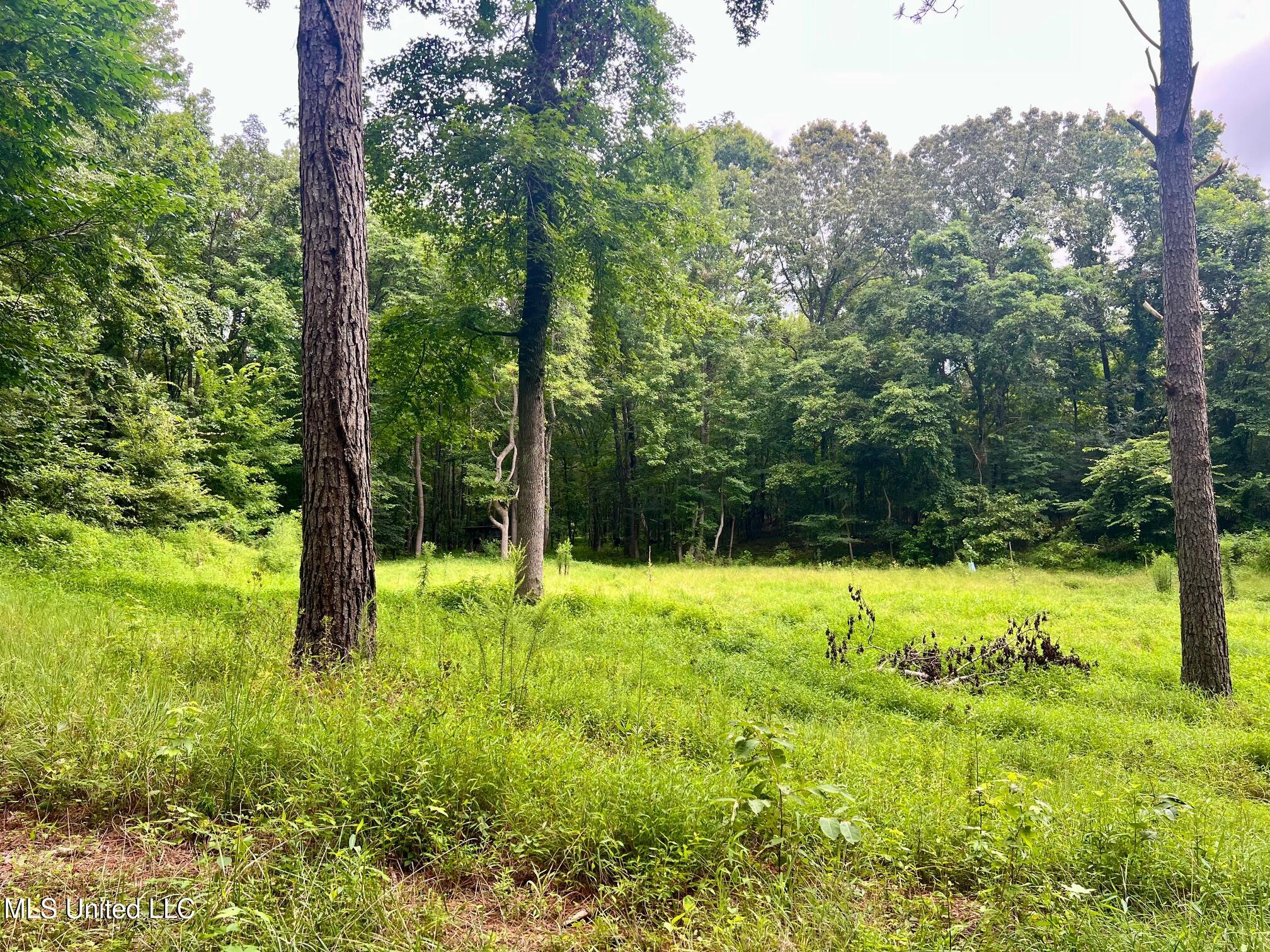 3007 Wilkins Chapel Road Holly Springs, MS 38635 - Photo 35 of 38 IMG_4676