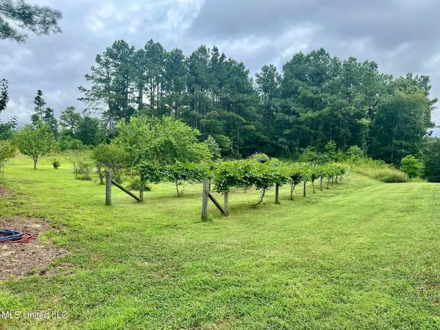 $599,000 | 3007 Wilkins Chapel Road, Holly Springs, MS 38635