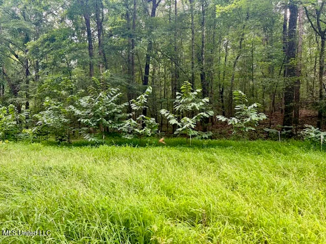 $599,000 | 3007 Wilkins Chapel Road, Holly Springs, MS 38635