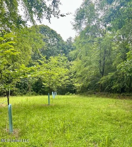 $599,000 | 3007 Wilkins Chapel Road, Holly Springs, MS 38635