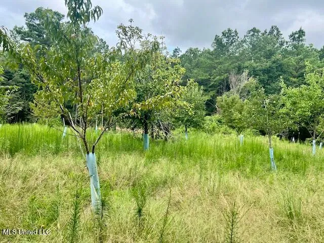 $599,000 | 3007 Wilkins Chapel Road, Holly Springs, MS 38635