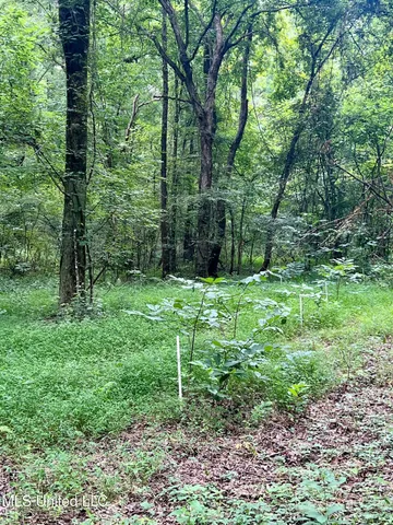 $599,000 | 3007 Wilkins Chapel Road, Holly Springs, MS 38635