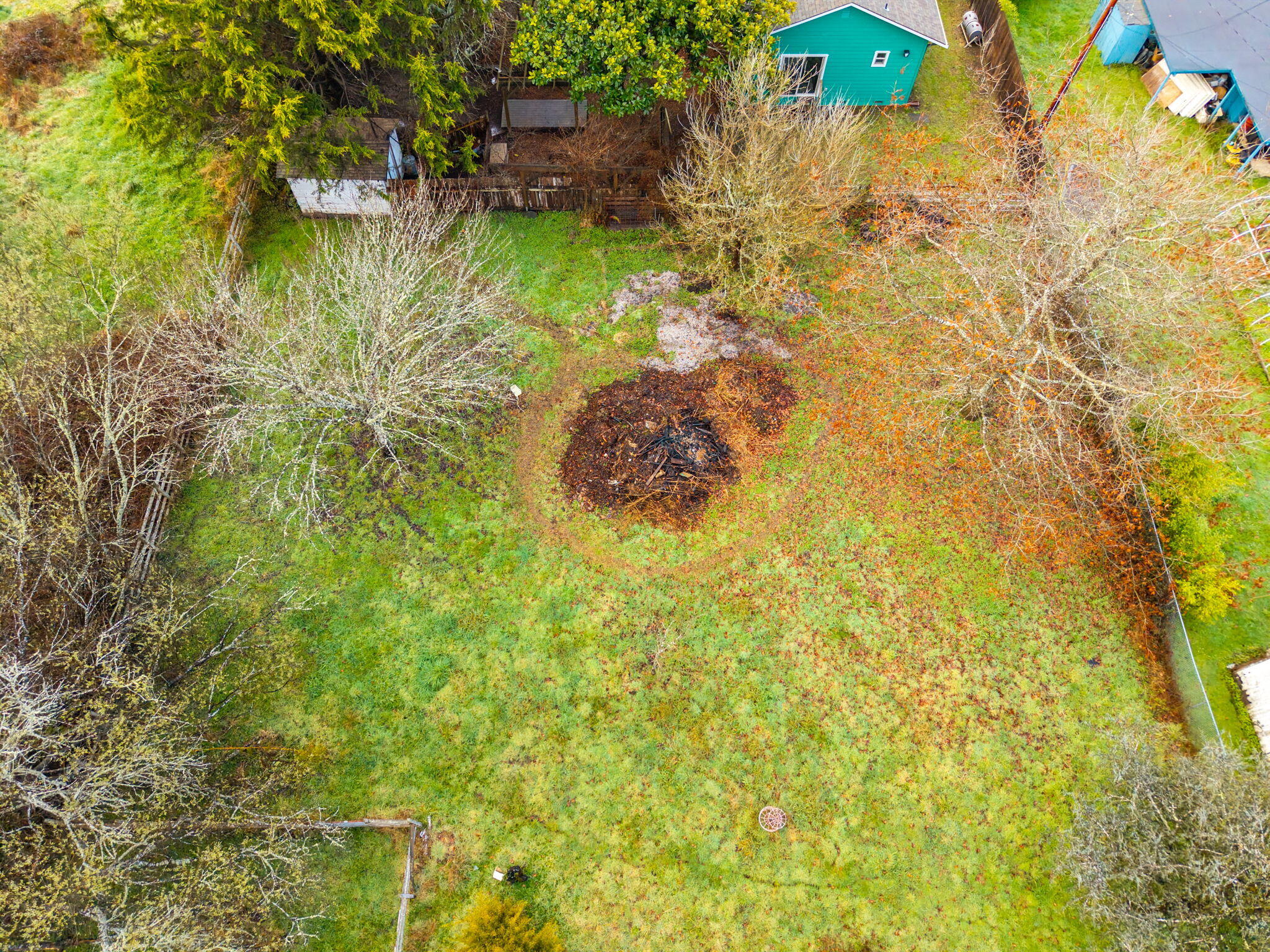 61 Kingston Road Fieldbrook, CA 95519 - Photo 43 of 48 a view of yard with green space