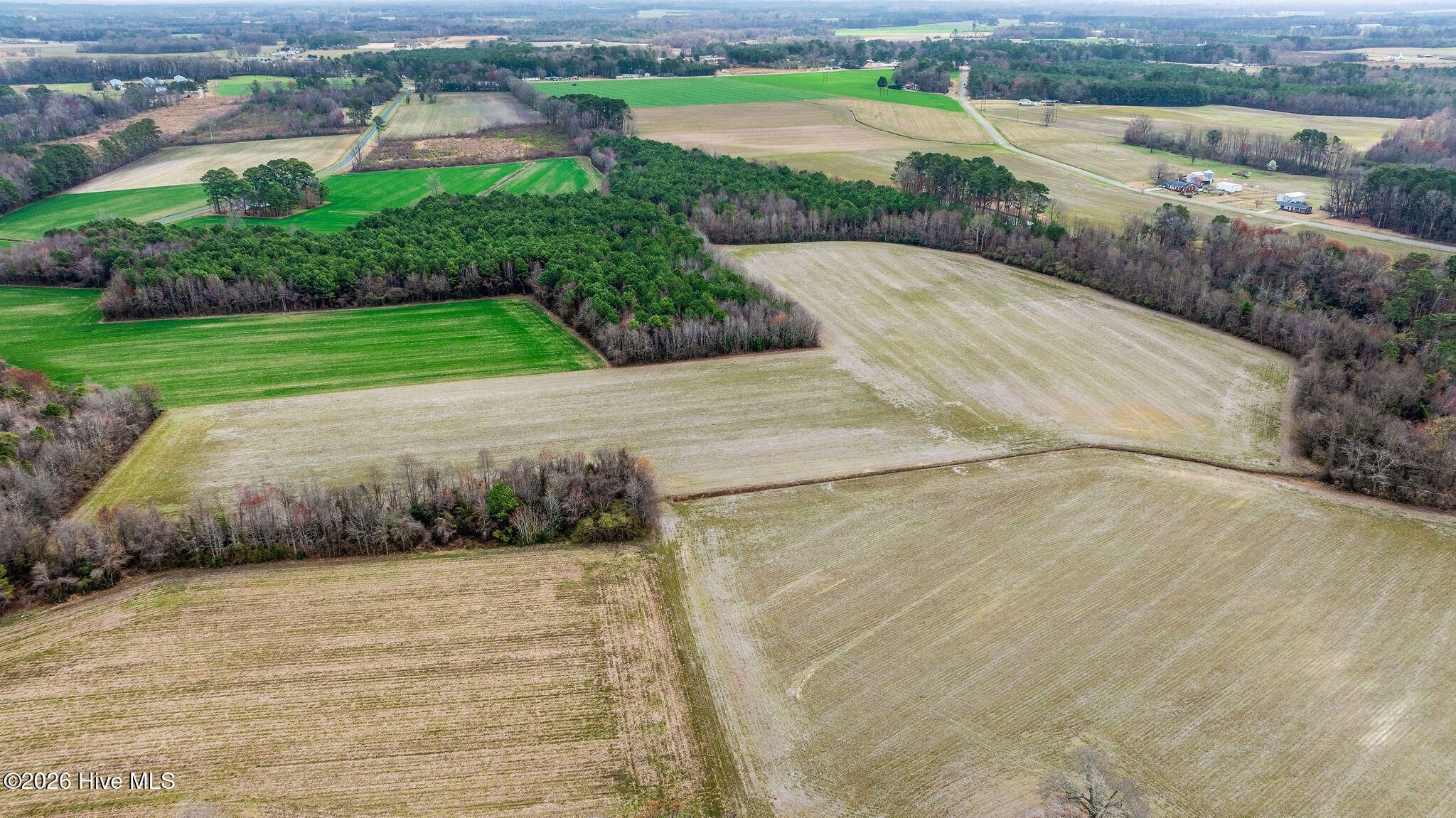 2541 Free Gospel Road Snow Hill, NC 28580 - Photo 13 of 25 DJI_0710