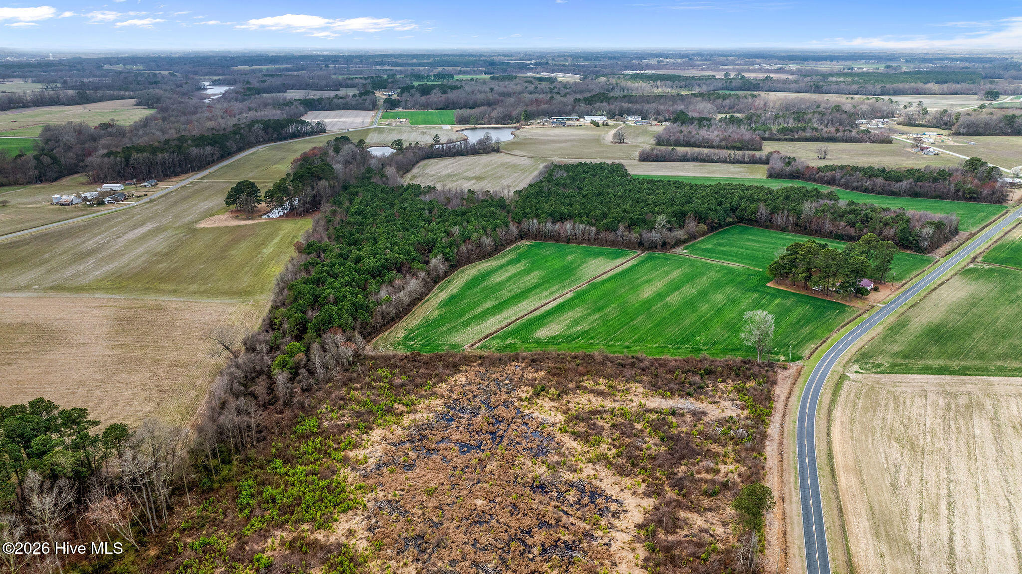 2541 Free Gospel Road Snow Hill, NC 28580 - Photo 15 of 25 DJI_0698