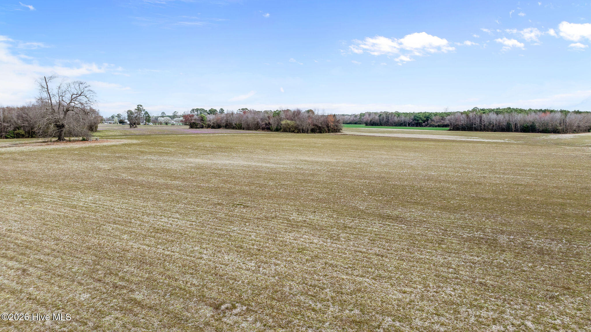 2541 Free Gospel Road Snow Hill, NC 28580 - Photo 23 of 25 DJI_0651
