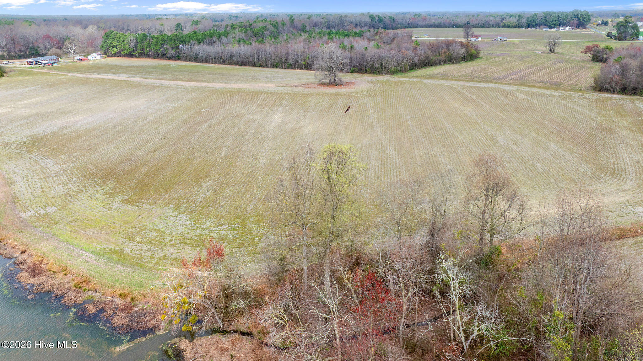 2541 Free Gospel Road Snow Hill, NC 28580 - Photo 8 of 25 DJI_0739