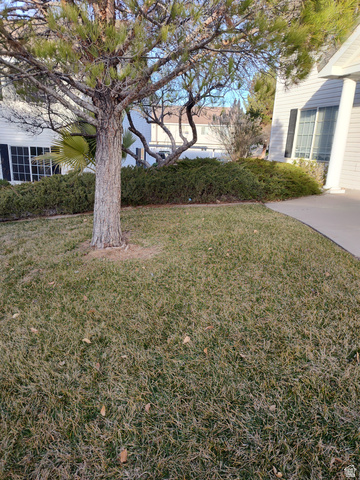 1735 West 540 North, Unit 1402 St. George, UT 84770 - Photo 13 of 14 View of green lawn