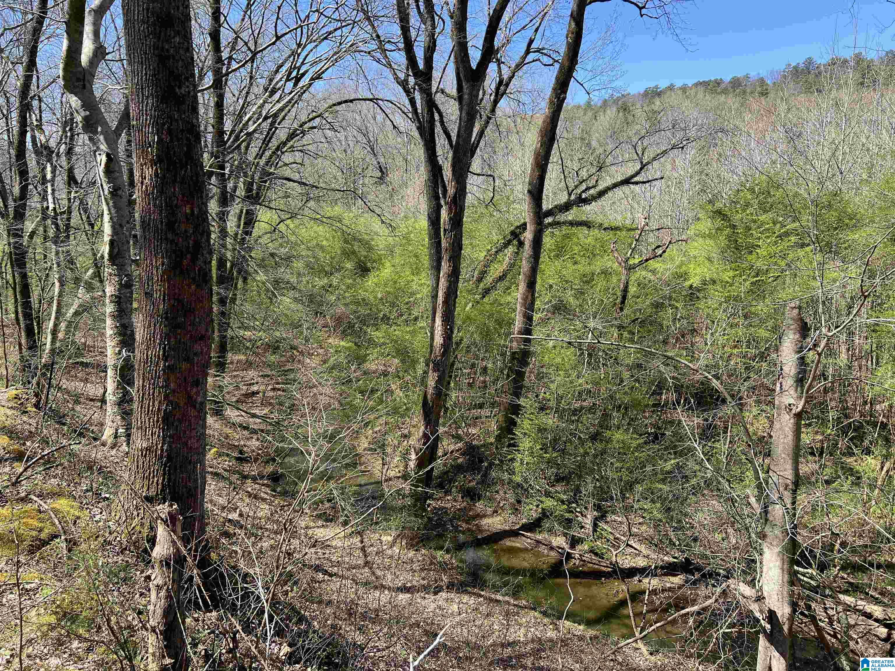 6478 Red Hollow Road, Unit 240 Birmingham, AL 35215 - Photo 31 of 38