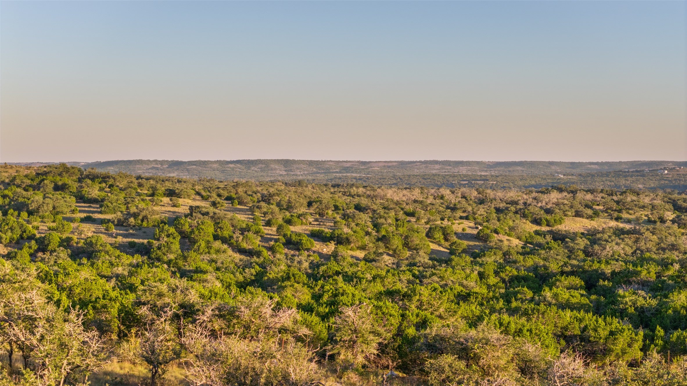 4318 Maenius Road Blanco, TX 78606 - Photo 8 of 11 Rolling hills and dense woodlands stretch across the horizon under a clear sky.