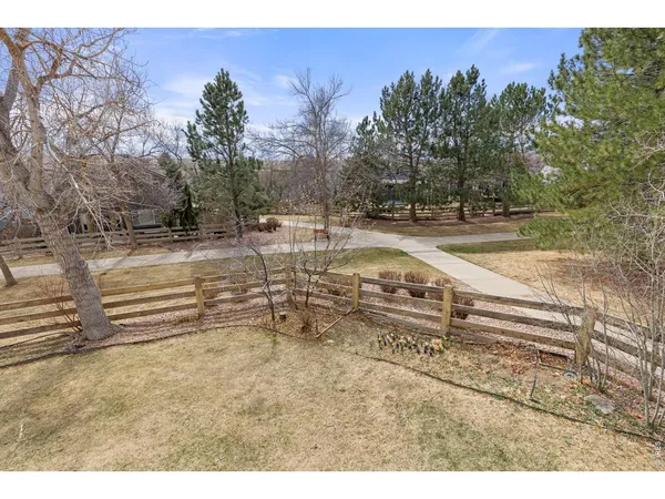a view of a yard