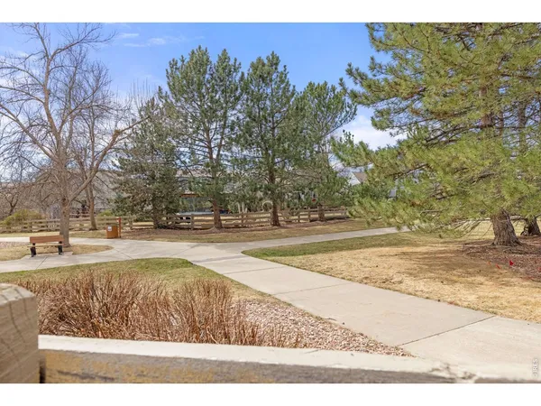 a view of a yard with trees