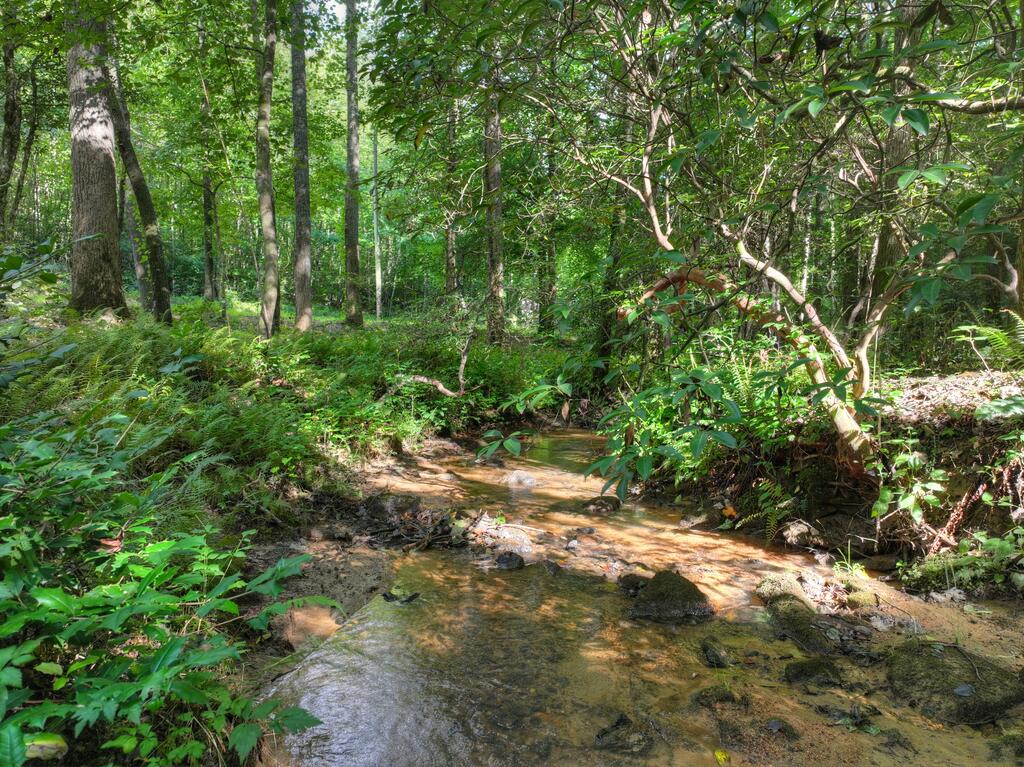685 Chopped Oak Road Ellijay, GA 30540 - Photo 18 of 46 Gallery Image 18