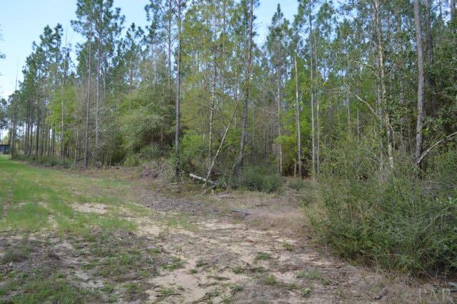 Lot 41 Wallace Lake Road Pace, FL 32571 - Photo 8 of 19