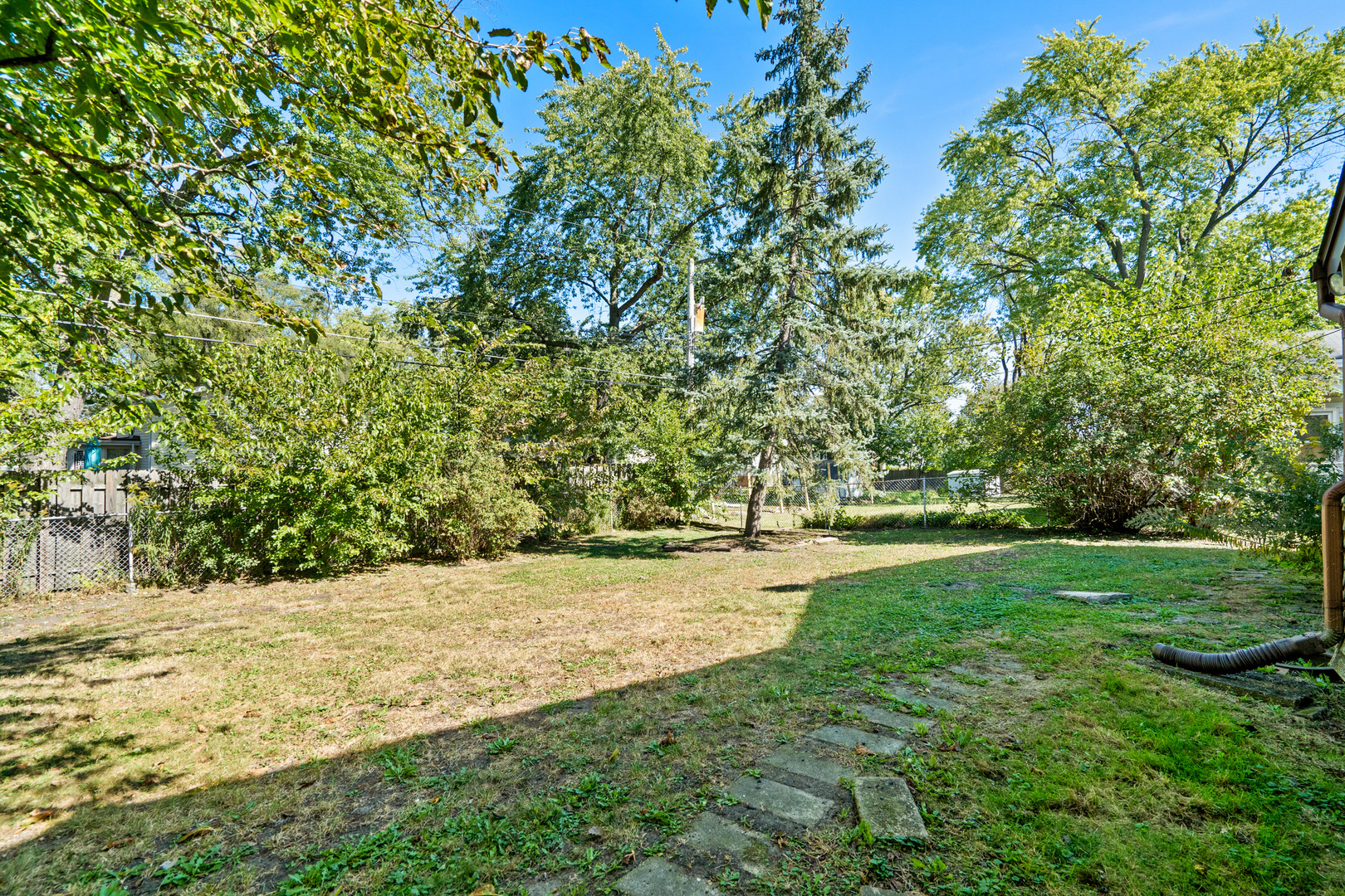 244 Thomas Street Park Forest, IL 60466 - Photo 23 of 30 a view of yard with large trees
