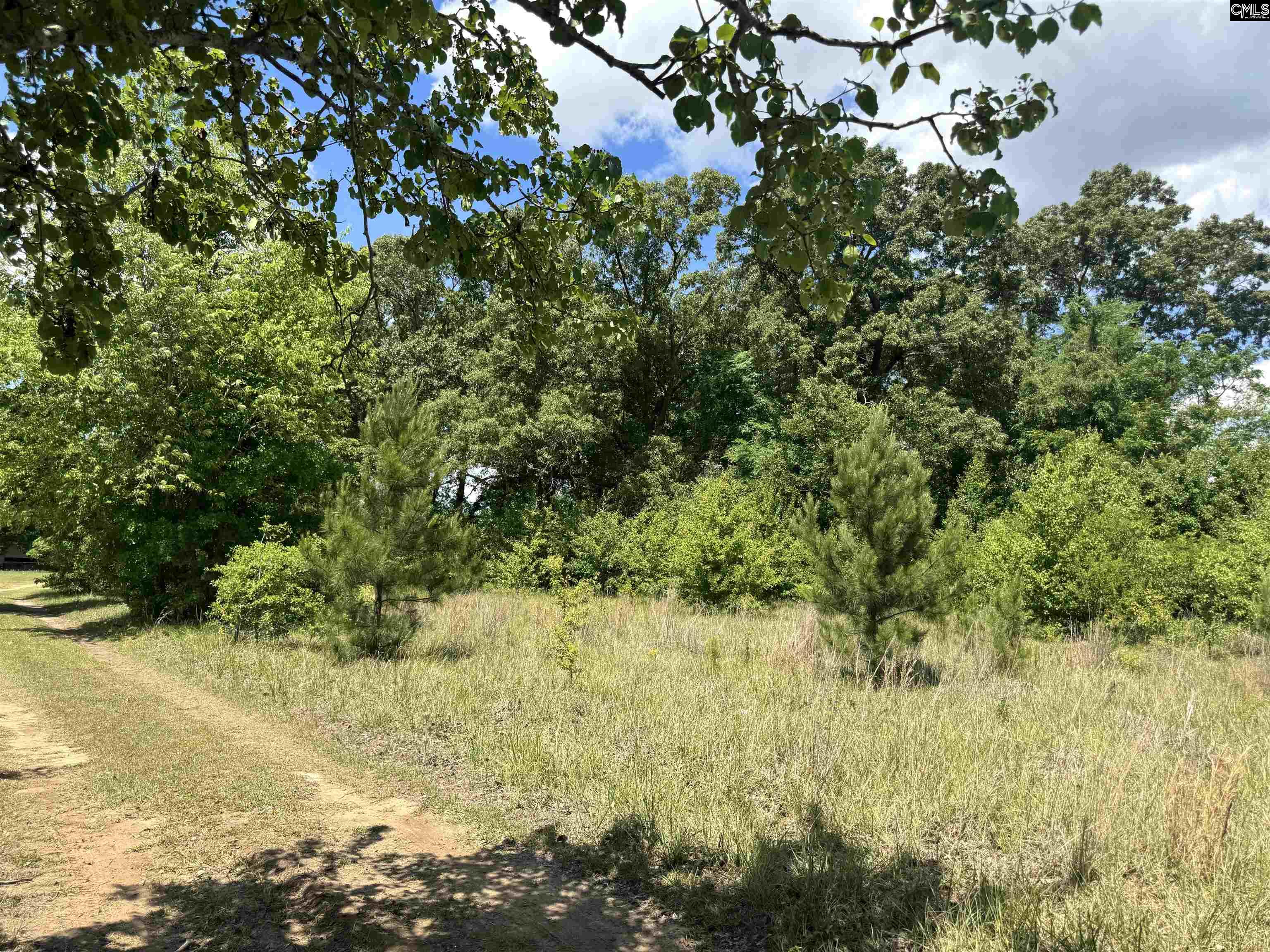 1536 Congaree Road Hopkins, SC 29061 - Photo 3 of 7 a view of a yard with a tree