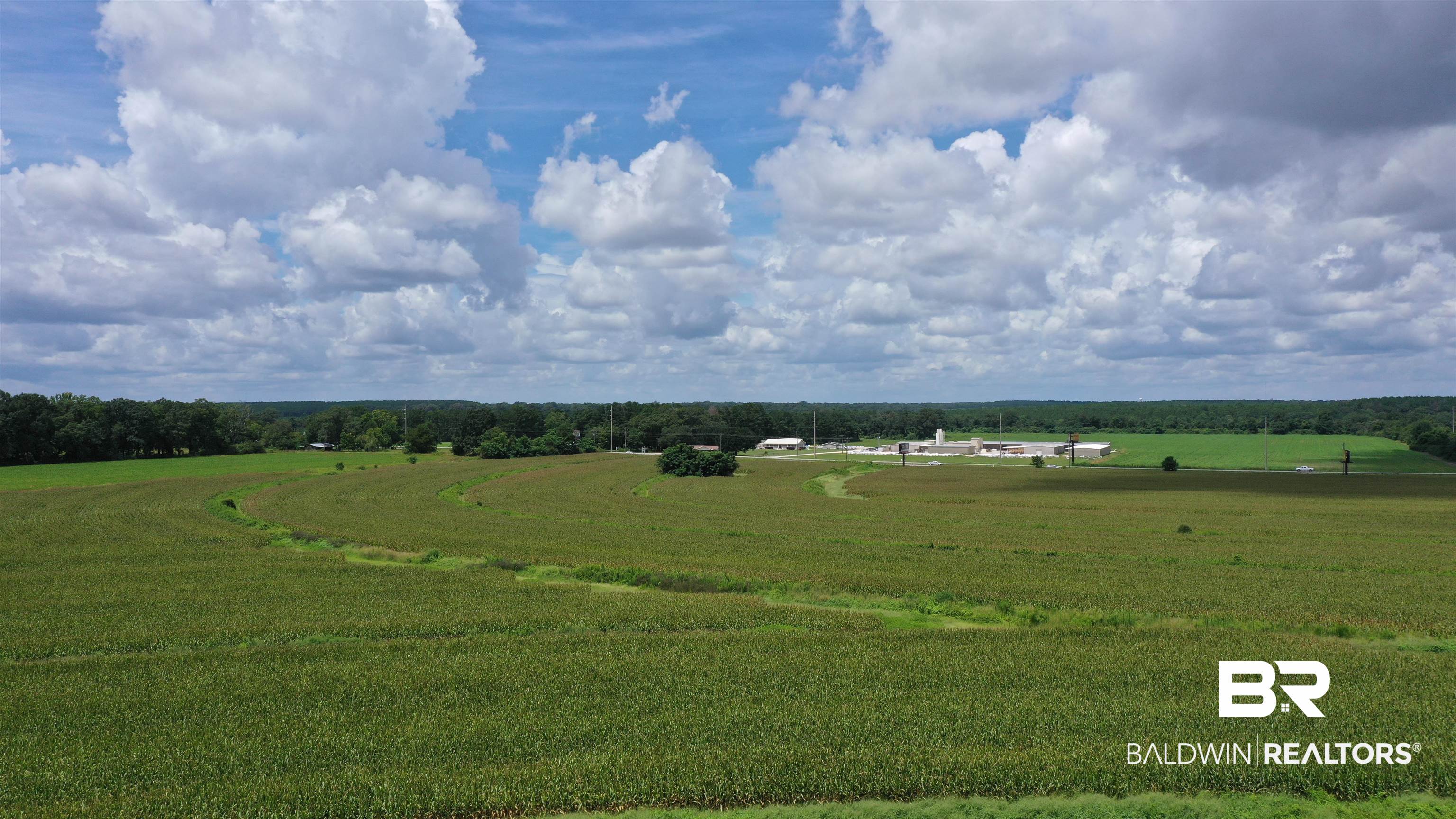 3 Highway 21 Atmore, AL 36502 - Photo 7 of 18 View of landscape with a rural view