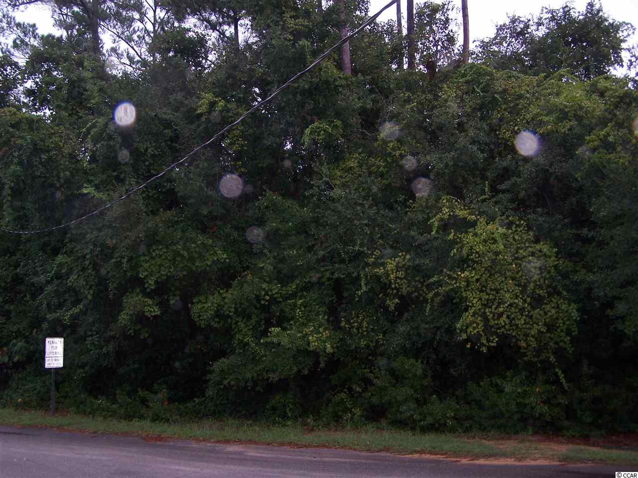 Tbd Little Tony Avenue Murrells Inlet, SC 29576 - Photo 3 of 5 Gallery Image 3