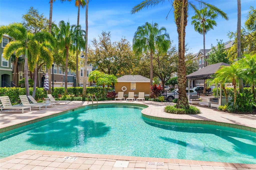 1451 Harbour Walk Road Tampa, FL 33602 - Photo 38 of 51 a view of a swimming pool with a garden and plants