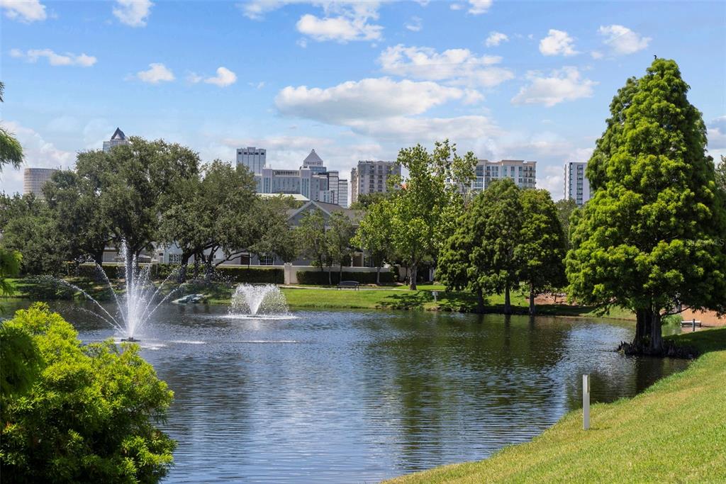 1451 Harbour Walk Road Tampa, FL 33602 - Photo 45 of 51 a view of a lake with a yard