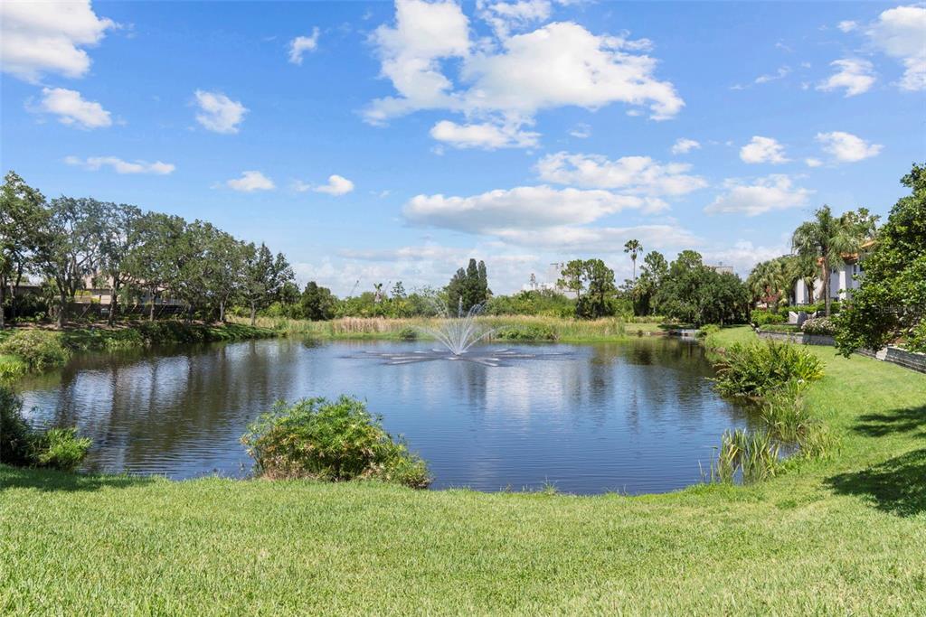 1451 Harbour Walk Road Tampa, FL 33602 - Photo 47 of 51 a view of a lake