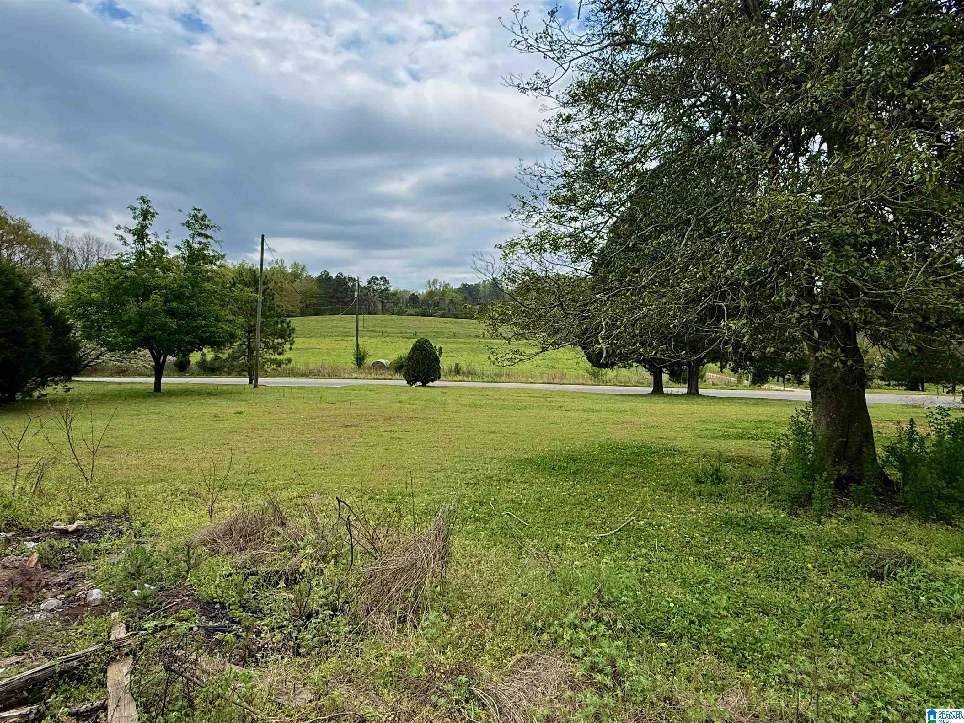 Mitchell Lane Ashland, AL 36251 - Photo 5 of 8