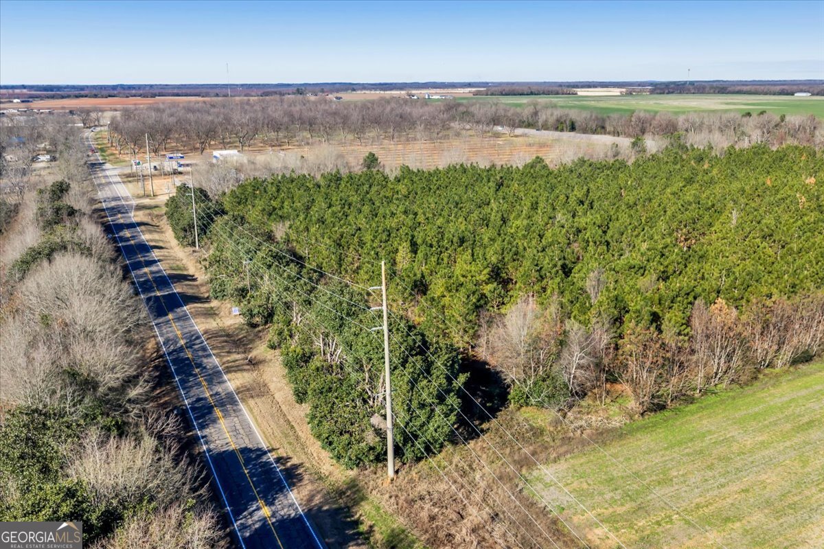 341-49 Highway Fort Valley, GA 31030 - Photo 12 of 23 a view of a lake from a yard