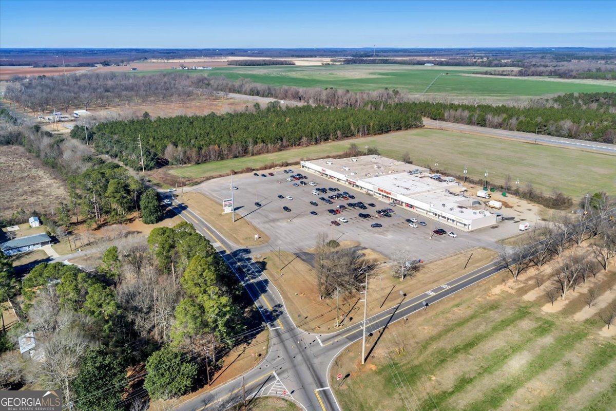 341-49 Highway Fort Valley, GA 31030 - Photo 16 of 23 a view of a lake with a mountain