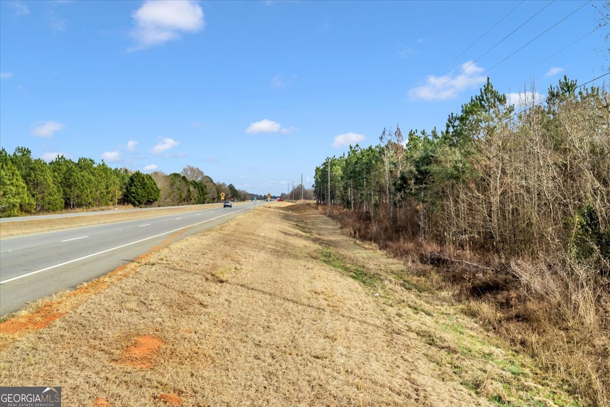 341-49 Highway Fort Valley, GA 31030 - Photo 21 of 23 a view of an outdoor space and a yard