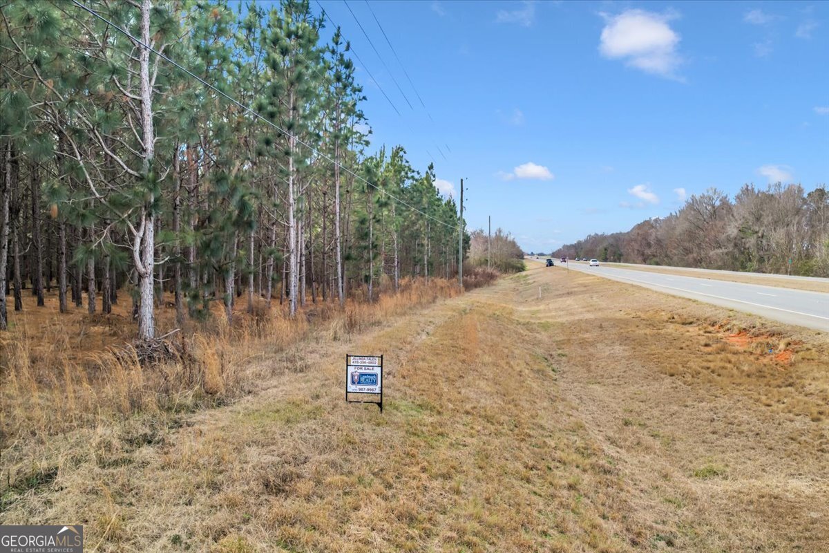 341-49 Highway Fort Valley, GA 31030 - Photo 22 of 23 a backyard of a house with lots of green space