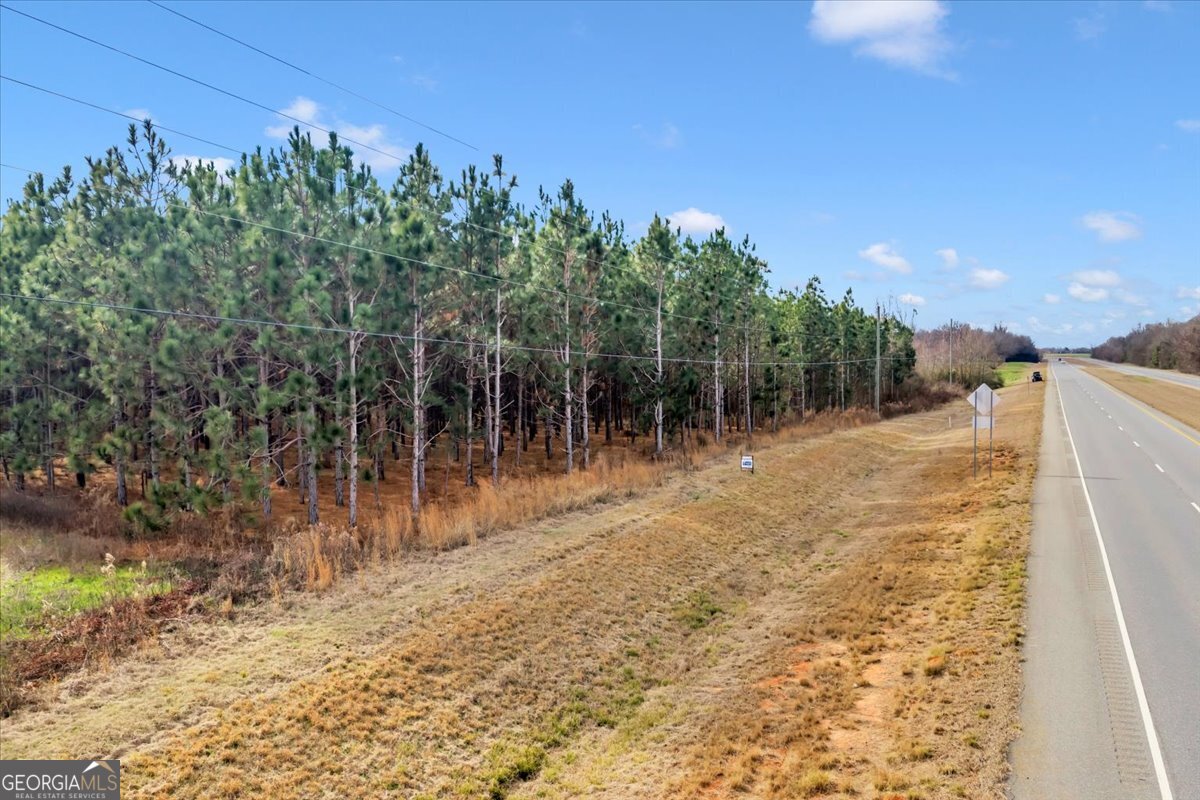 341-49 Highway Fort Valley, GA 31030 - Photo 23 of 23 a view of a yard with a tree